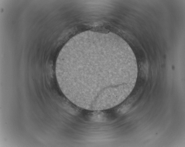 X0000075810612200610061733