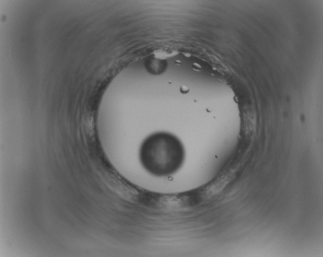 X0000075810613200610061733