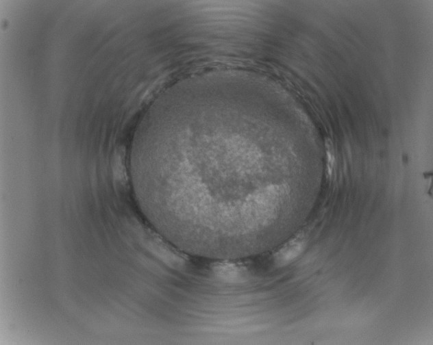 X0000075810616200610061733