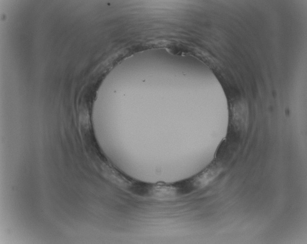 X0000075810617200610061733