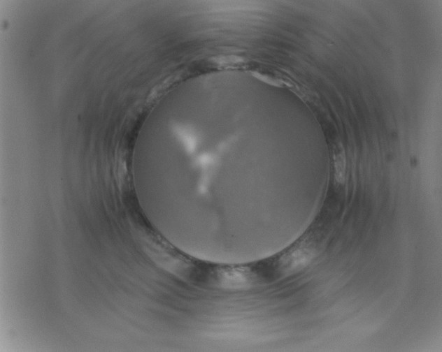 X0000075810618200610061733