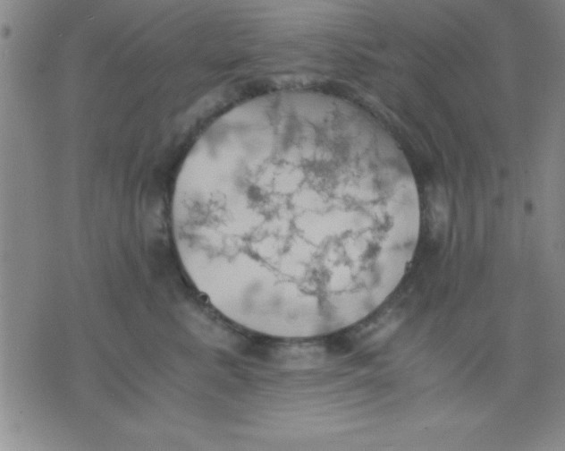 X0000075810619200610061733