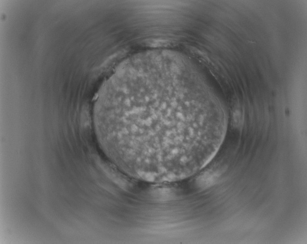 X0000075810620200610061733