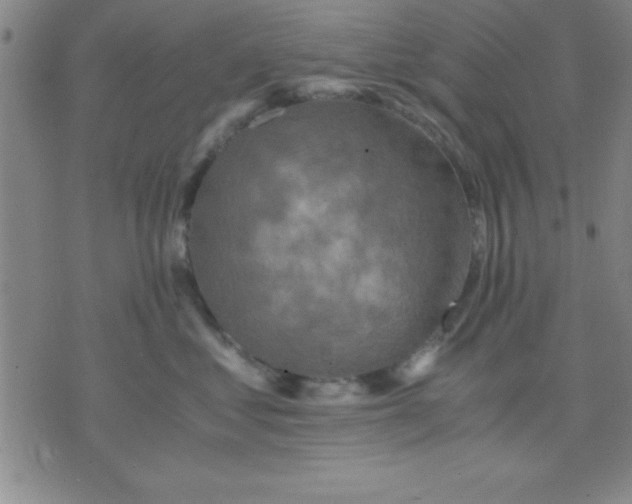 X0000075810621200610061733