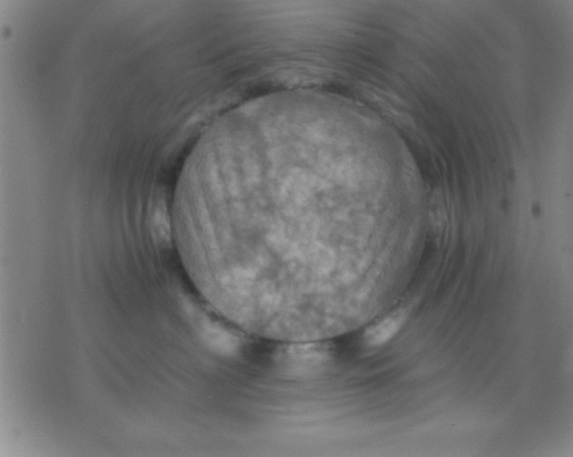 X0000075810622200610061733