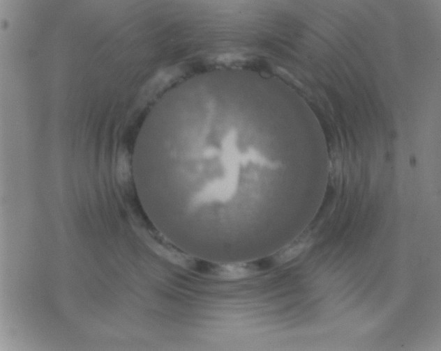 X0000075810623200610061733