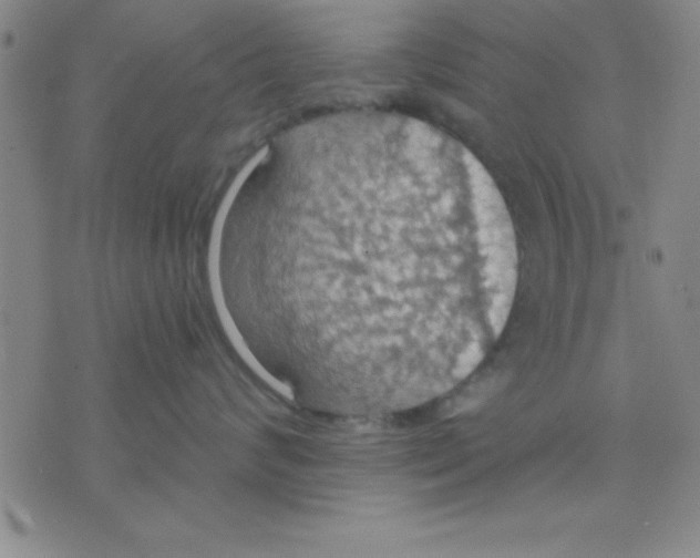 X0000075810624200610061733