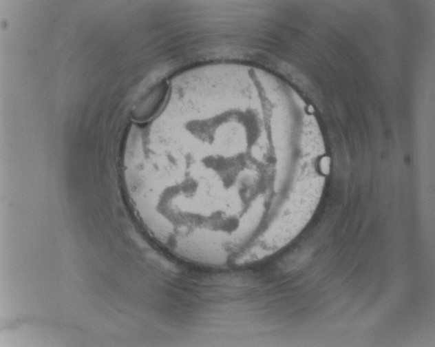 X0000075810625200610061732