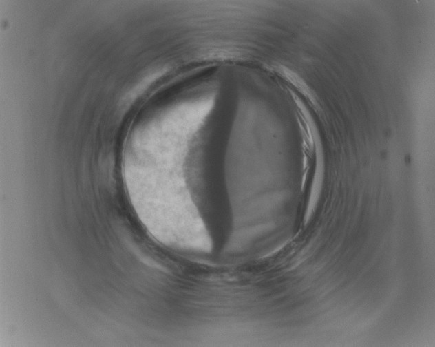 X0000075810627200610061732