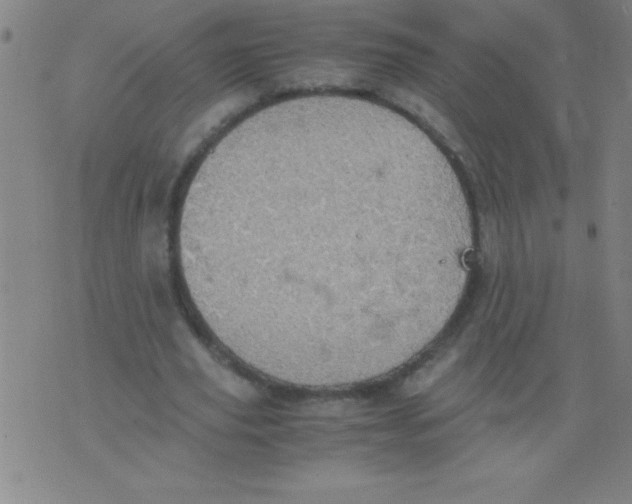 X0000075810629200610061732