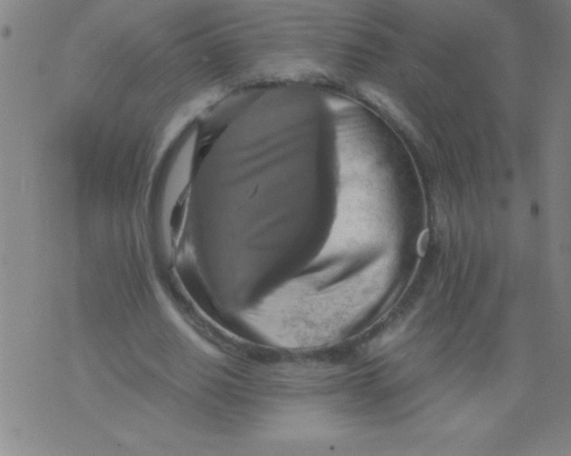 X0000075810630200610061732