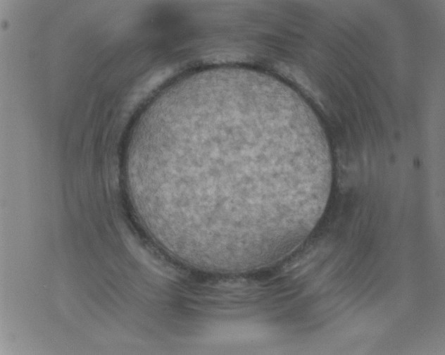 X0000075810631200610061732