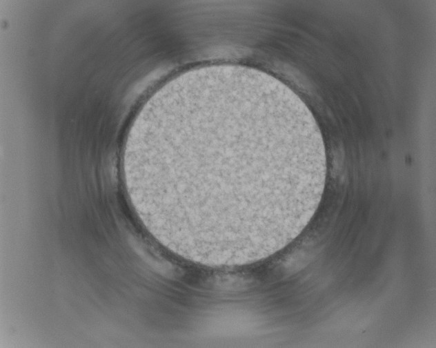 X0000075810632200610061733