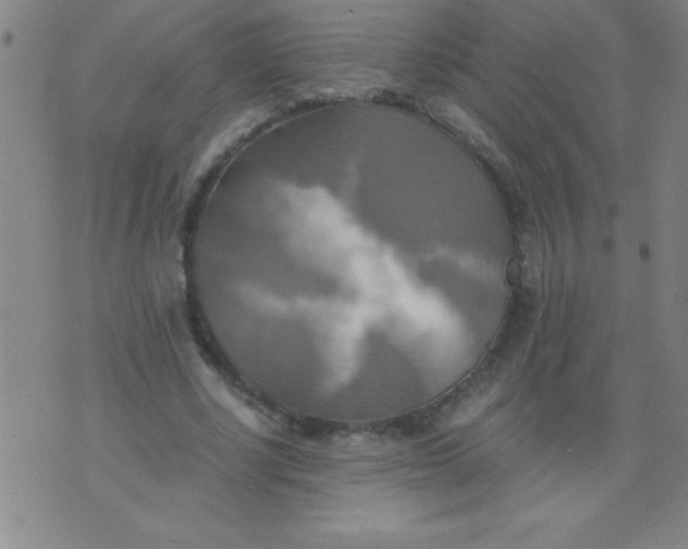 X0000075810634200610061733