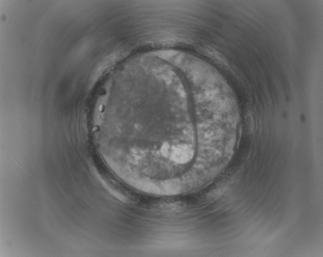 X0000075810638200610061733