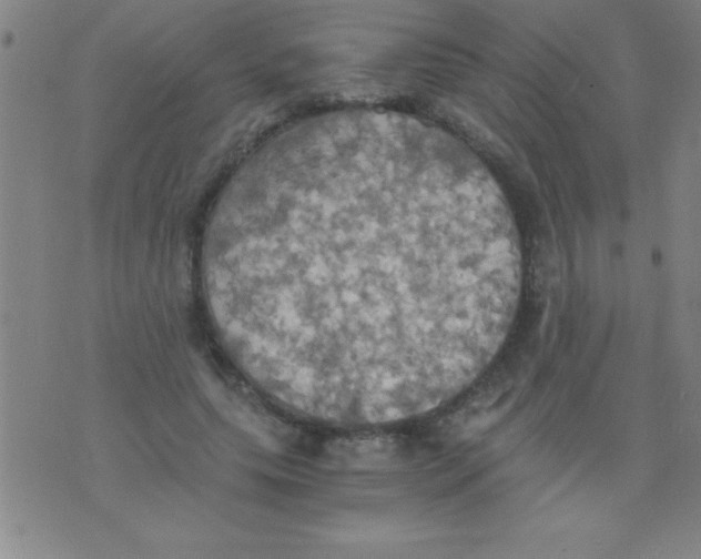 X0000075810639200610061733