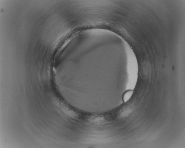 X0000075810640200610061733