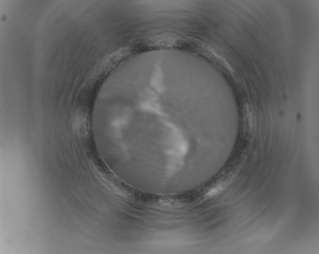 X0000075810641200610061733