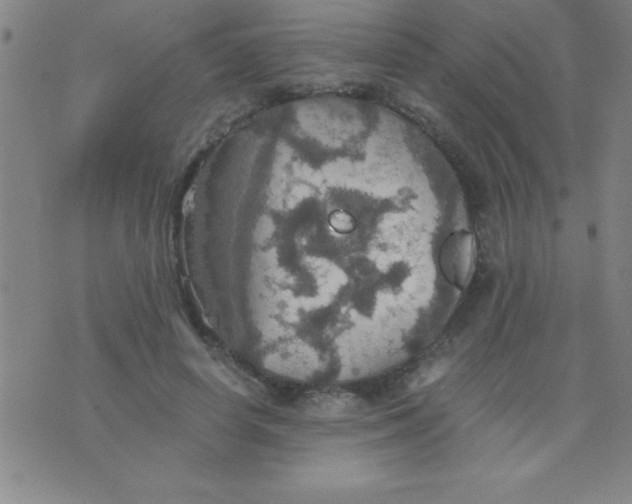 X0000075810642200610061733