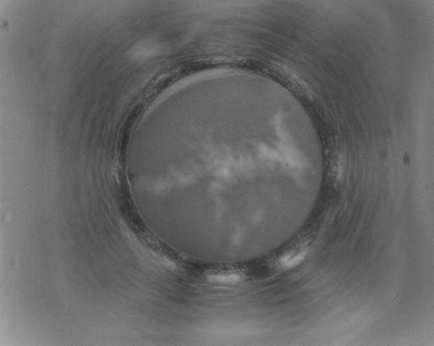 X0000075810643200610061733