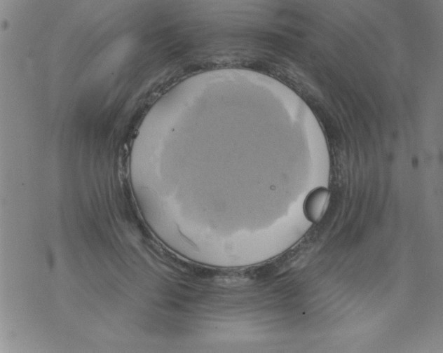 X0000075810644200610061733