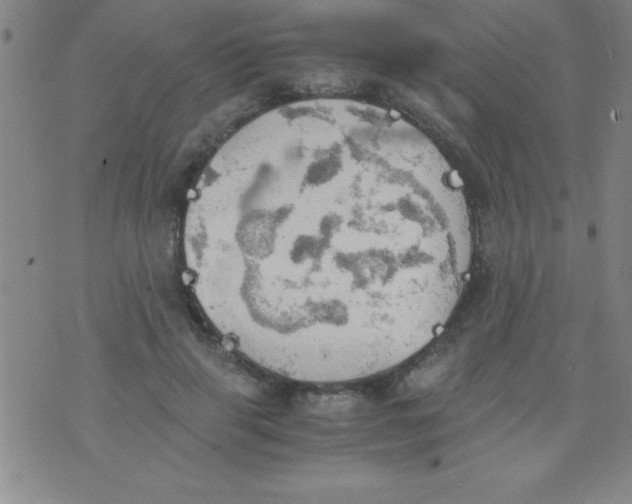 X0000075810645200610061733