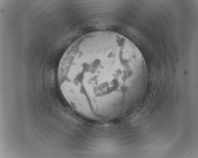 X0000075810646200610061733