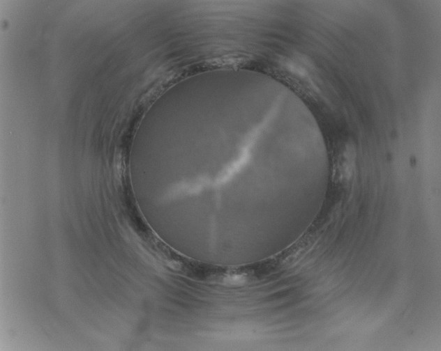 X0000075810647200610061733