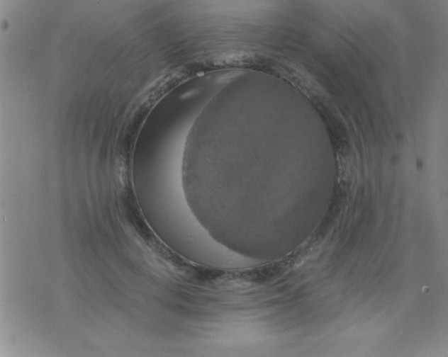 X0000075810648200610061733