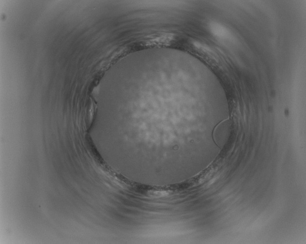 X0000075810649200610061733