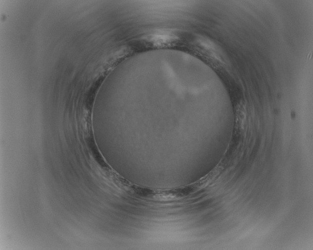 X0000075810650200610061733