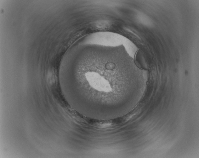 X0000075810651200610061733