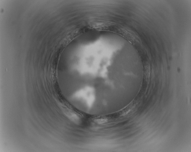 X0000075810653200610061733