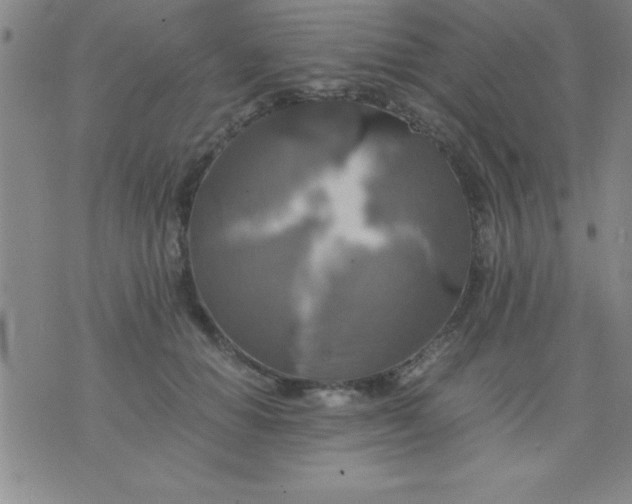 X0000075810654200610061733