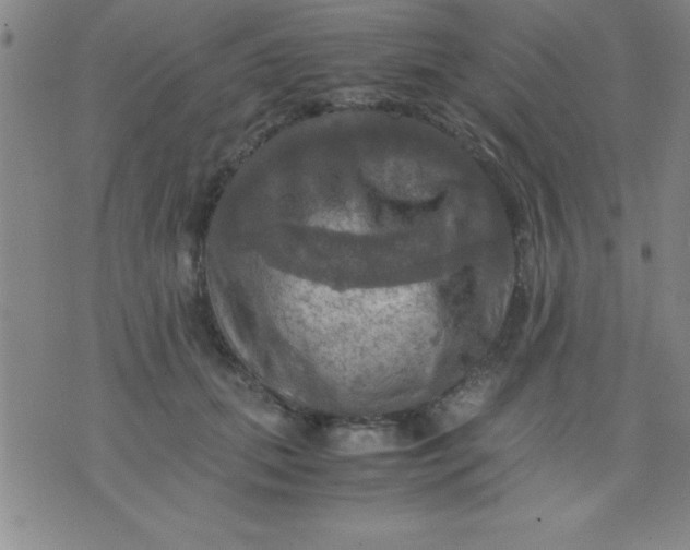 X0000075810655200610061733