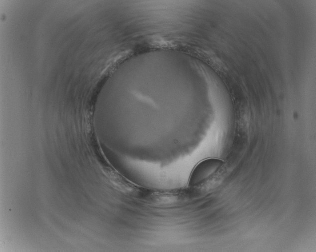 X0000075810658200610061733