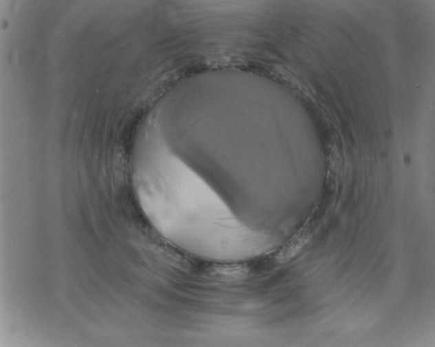 X0000075810659200610061733