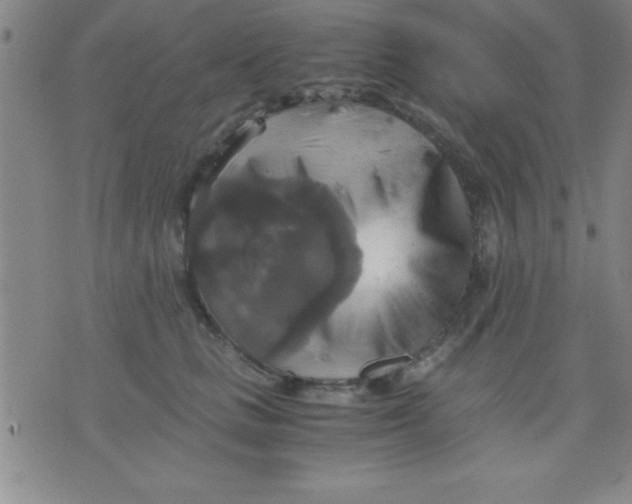 X0000075810661200610061733