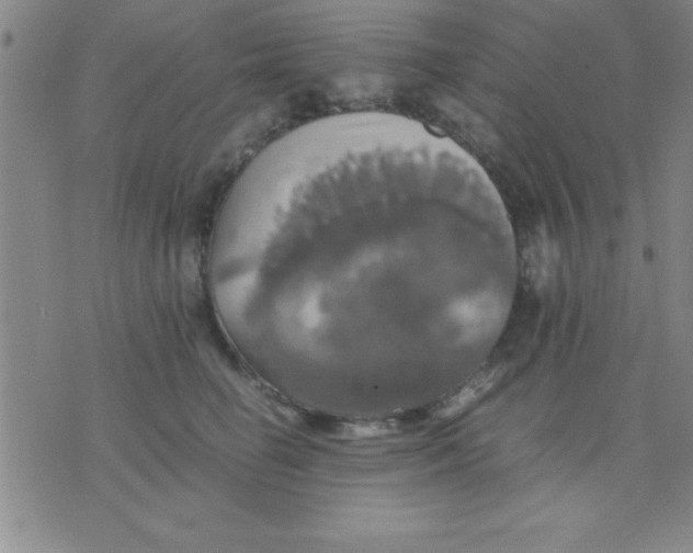 X0000075810662200610061733