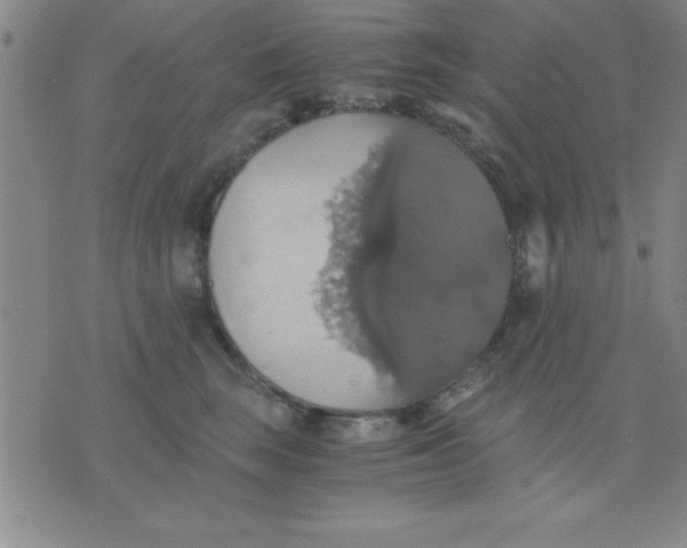 X0000075810663200610061733