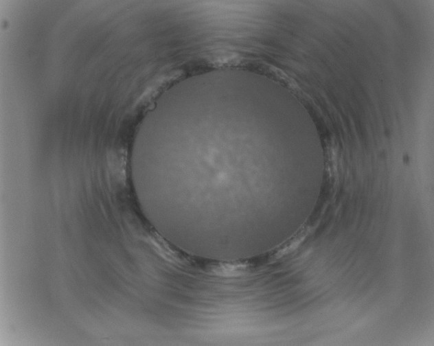 X0000075810664200610061733