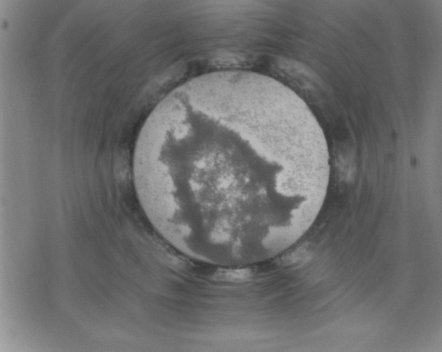 X0000075810665200610061733