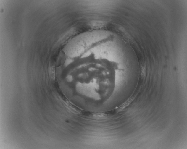 X0000075810666200610061733