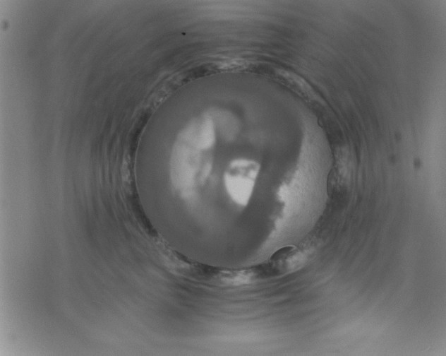 X0000075810667200610061733