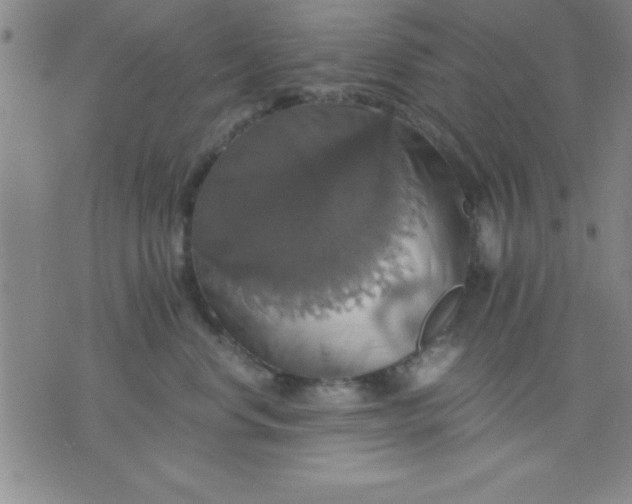 X0000075810668200610061733