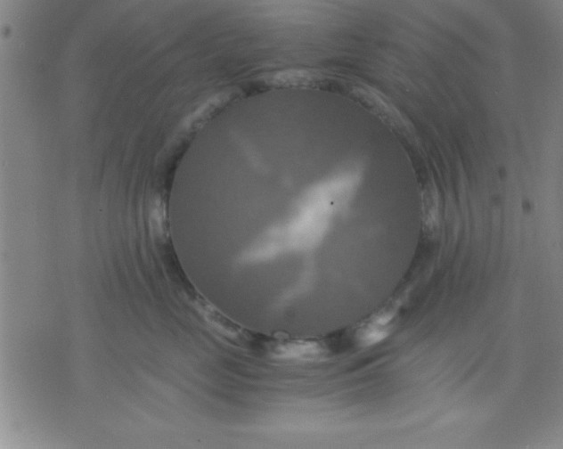 X0000075810669200610061733