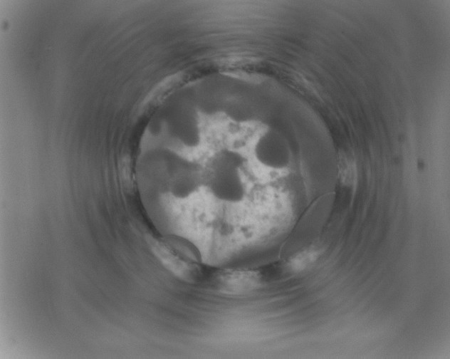 X0000075810670200610061733