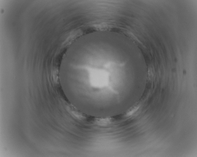 X0000075810671200610061733