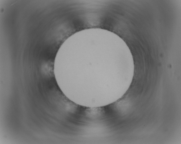 X0000075810672200610061733