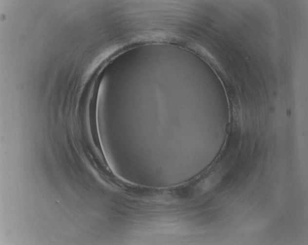 X0000075810674200610061732